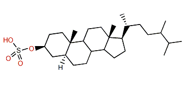 24-Methyl-5a-cholestane-3b-ol sulfate